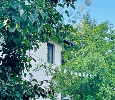 Avrig Casa | Vila Luna Valea Avrigului