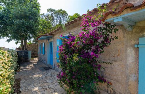 Tar-Vabriga Casa | Vila Majda