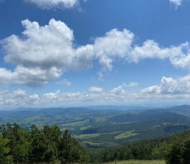 Divcibare Apartamento | Vila Marina Divčibare