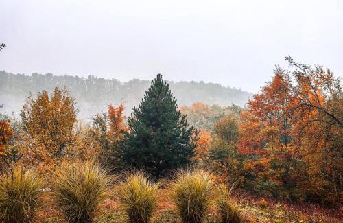 Arilje Casa | Vila Obradovic