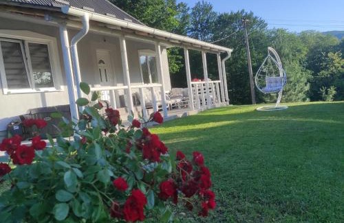 Arilje Casa | Vila Obradovic