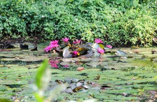 Hettimulla Apartamento | Villa 33