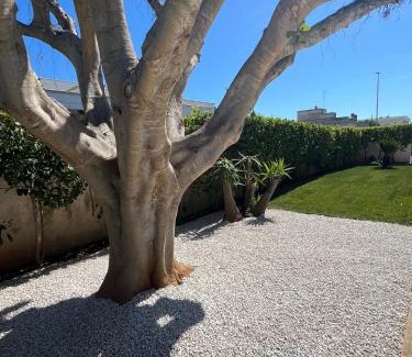 Pantanagianni-pezze Morelli Casa | Villa AlbeAle
