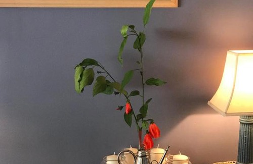 Eagle Heights Casa | Villa Alessandra Rooms & Restaurant