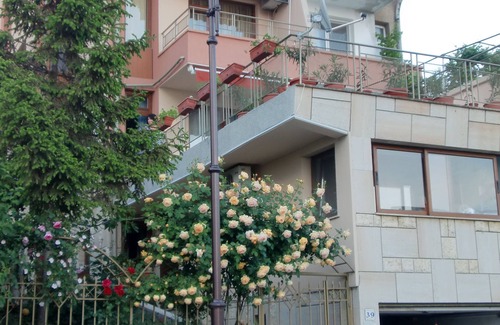 Sveti Vlas Villa | Villa “ani” Sveti Vlas Costa búlgara del Mar Negro Abierto de mayo a octubre