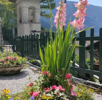 Molveno Apartamento | Villa Aprica Appartamenti