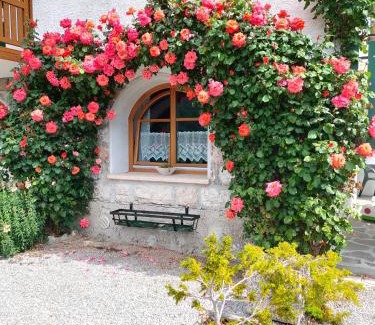 Molveno Apartamento | Villa Aprica Appartamenti