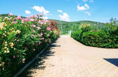 Chiesiola Apartamento | Villa Apulia