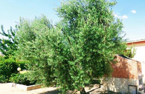 Chiesiola Apartamento | Villa Apulia