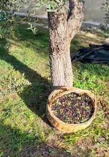 Chiesiola Apartamento | Villa Apulia