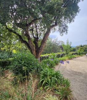 Cote d'Azur- French Riviera Apartamento | Villa Argonaute
