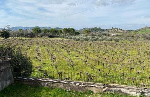 Archaia Olympia Casa | Villa Aris