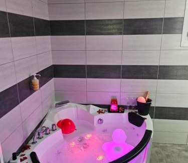 Cornebarrieu Apartamento | Villa avec baignoire balnéo véranda & jardin