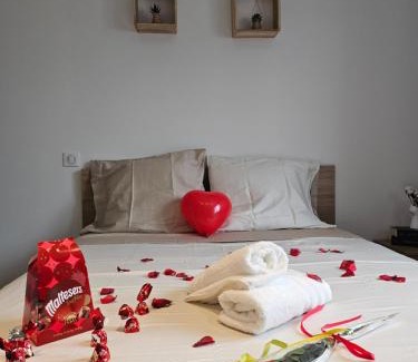 Cornebarrieu Apartamento | Villa avec baignoire balnéo véranda & jardin