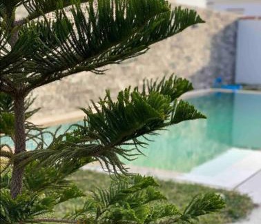 Mornag Villa | Villa avec piscine et Jacuzzi Tunis
