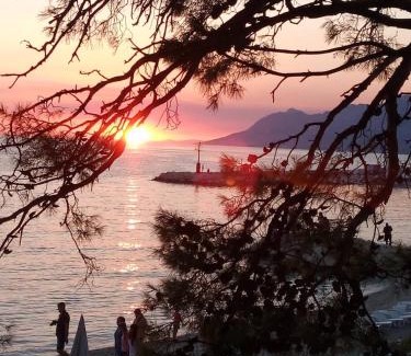 Baska Voda Villa | Villa Bandic