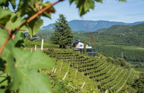 Caldaro Sulla Strada del Vino Cabina | Villa Barleit