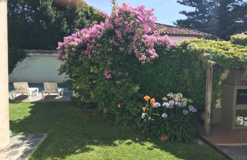 Mar del Plata Cama Y Desayuno | Villa Black Bnb