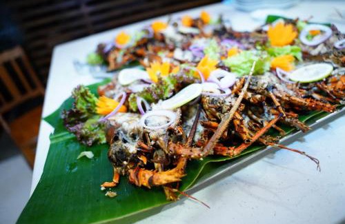 Seeduwa - Katunayake Cama Y Desayuno | Villa Blue Lotus Katunayake