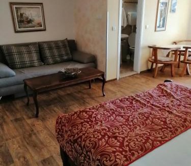 Zlatibor Apartamento | Villa Bozovic