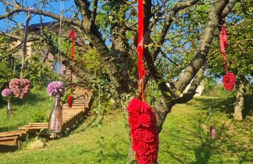 Mihovljan Villa | Villa Chill House Keti - private pool and jaccuzzi