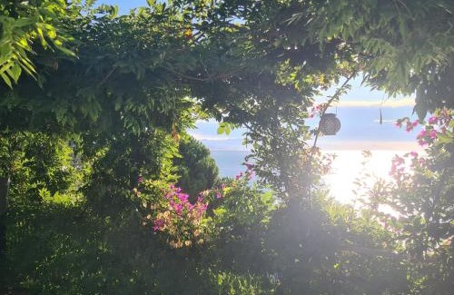 Varazze Villa | Villa Cokkinis