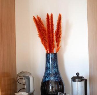 El Pescadero Casa | Villa Damiana Luxury Hotel