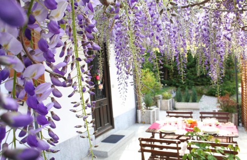Luino Apartamento | Villa dei Fiori