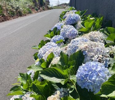 Porto Moniz Casa | Villa do Monte Sunset