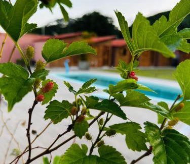 Ponta do Seixas Hotel | Villa do Seixas