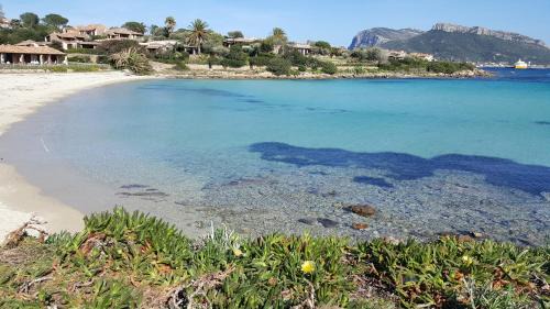 Baia Caddinas Apartamento | Villa Elena - Appartamento Vista Mare e Appartamento con Giardino