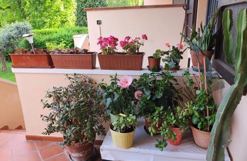 Quartiere Oltre Savio Cama Y Desayuno | Villa Elsa, Cesena zona Ippodromo