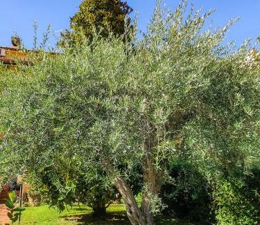 Quartiere Oltre Savio Cama Y Desayuno | Villa Elsa, Cesena zona Ippodromo