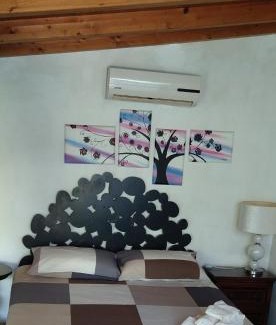 Rio Claro Villa | Villa Ermes