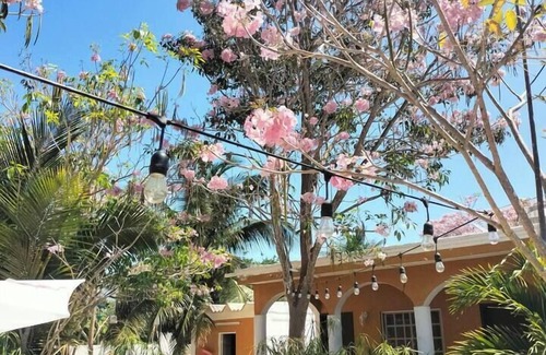 Celestún Apartamento | Villa Gabriela #1 family room, 3 min from the beach