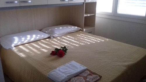 Carpi Apartamento | Villa Glori affitto camere monolocali