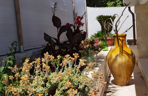 Selva di Fasano Villa | Villa 'Grace' con vistas al mar, Wi-Fi y aire acondicionado