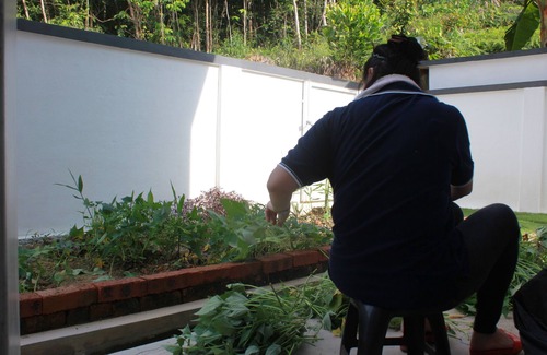 Bentong Casa | Villa, Hot & Cold water supply, durian, palm garden park, waterfall, hot spring