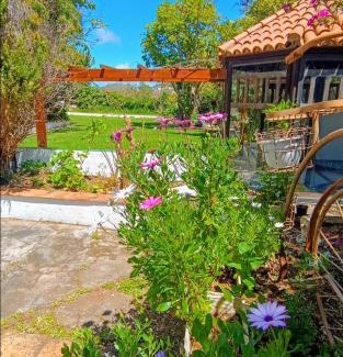Tacoronte Apartamento | Villa Ilusión