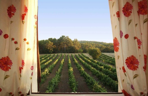 Peyrolles-en-Provence Villa | Villa rodeada de naturaleza, con piscina, cerca de Aix-en-Pce. Super promo julio