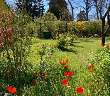 Muritz Casa | Villa Kunterbunt: Urgemütlich und fast perfekt