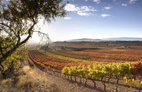 Arrúbal Villa | Villa La Rioja by Villas Rivero