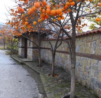 Lithia Villa | Villa Luxury Paradise Kastoria