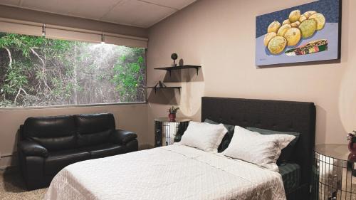 Tumba Vieja Apartamento | Villa Magnolia