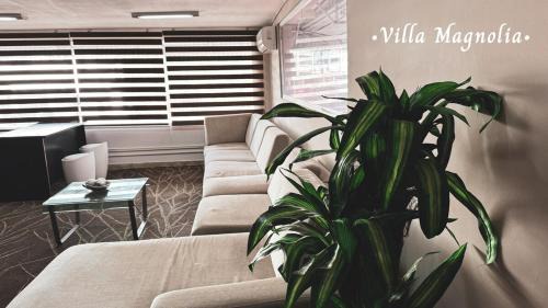 Tumba Vieja Apartamento | Villa Magnolia