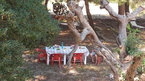 Taviano Casa | Villa Maria in Puglia con pineta vicino al mare