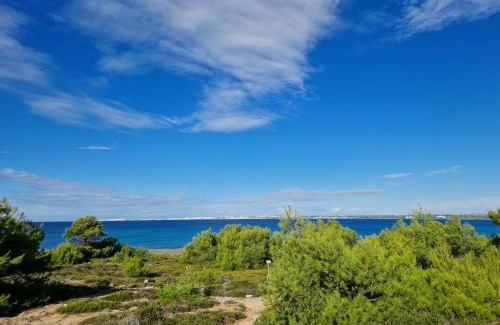 Taviano Casa | Villa Maria in Puglia con pineta vicino al mare