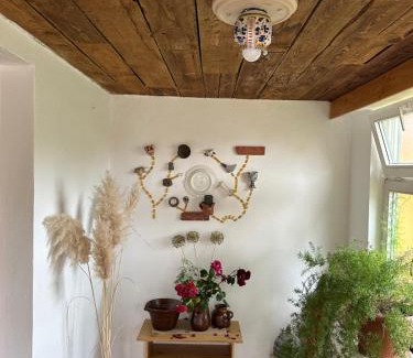 Kotzschenbroda Oberort Casa | Villa Martha