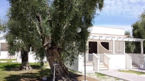 Chiesiola Casa | Villa Medina