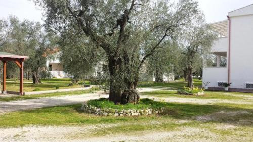 Chiesiola Casa | Villa Medina